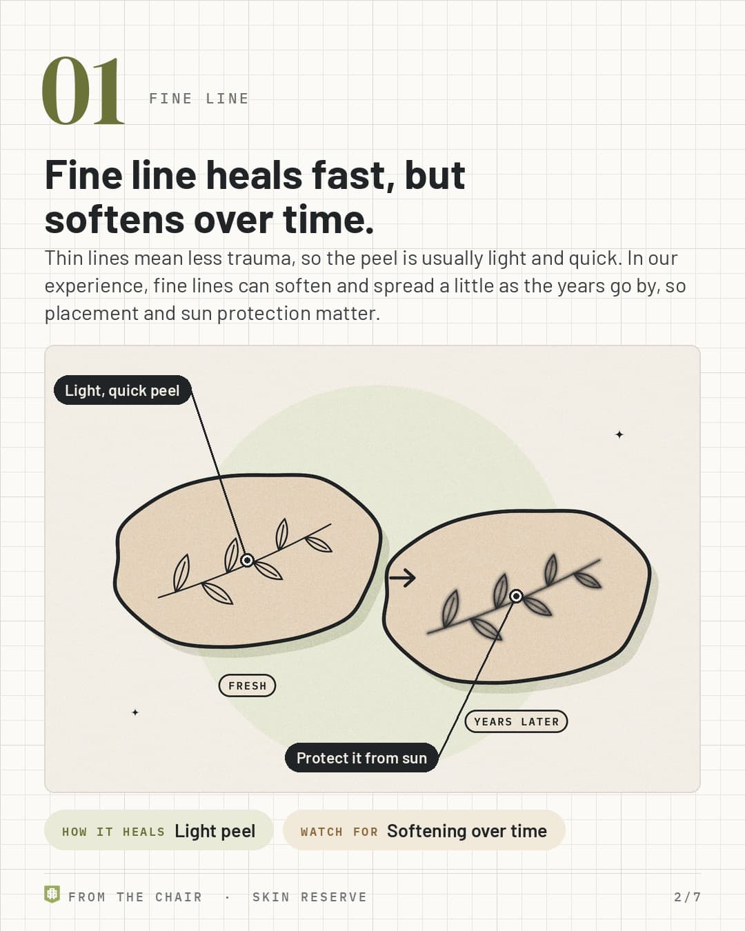 Fine line: a thin leaf tattoo fresh and softened years later, labeled Light, quick peel and Protect it from sun