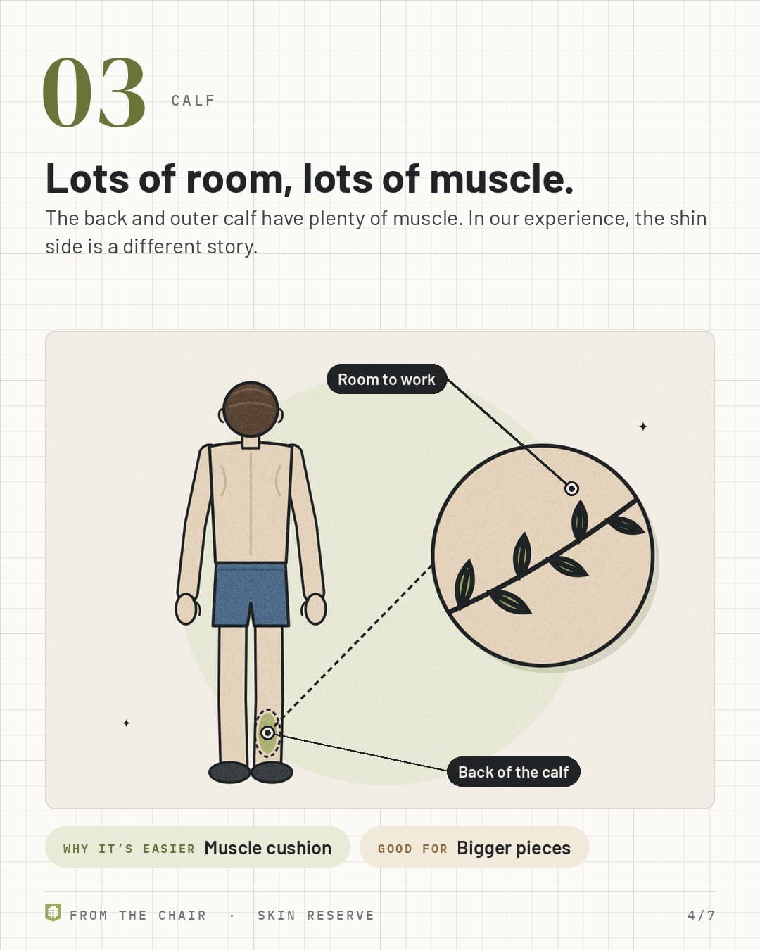 Calf: a figure from behind with the back of the calf highlighted